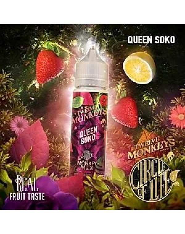 QUEEN SOKO E LIQUID BY 12 MONKEYS 50ML 65VG