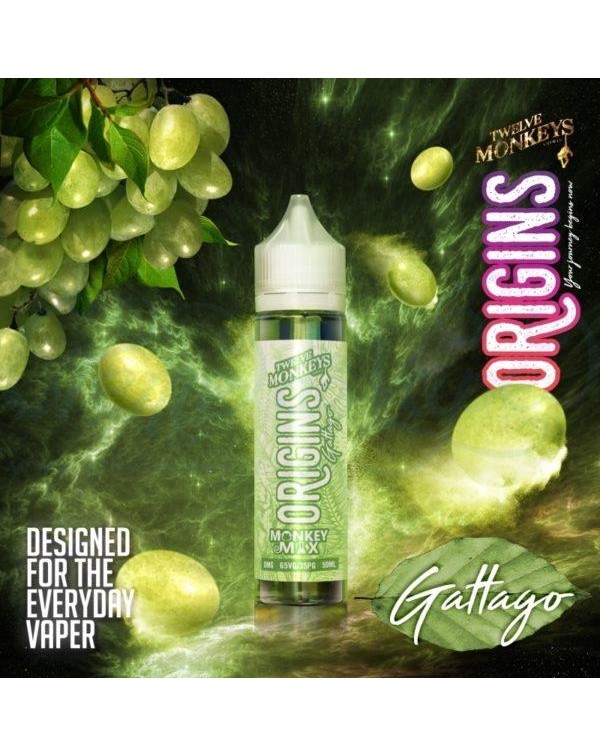 GATTAGO ORIGINS E LIQUID BY 12 MONKEY 50ML 65VG