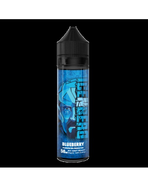 BLUEBERRY E LIQUID BY ICENBERG 50ML 70VG